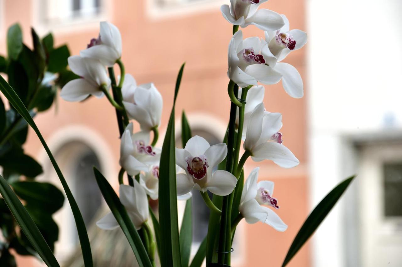 Hotel Krone Brunico Dış mekan fotoğraf